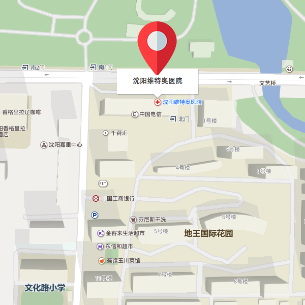 Shenyang Vitup Hospital