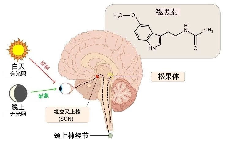 8e3a72f005c74ce38e8083a5c61312a9